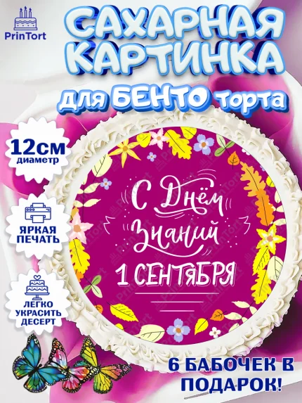 Сахарные круги 12см PT05, 1 сентября, День знаний Школа, Девушка, День знаний 1 сентября, арт. PT0501116
