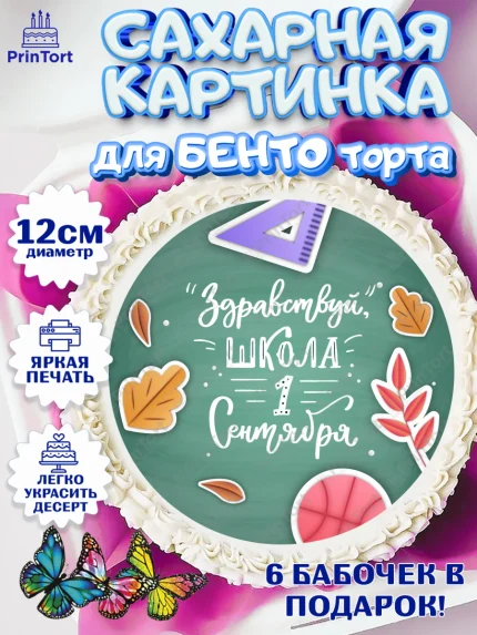 Сахарные круги 12см PT05, 1 сентября, День знаний Школа, Девушка, День знаний 1 сентября, арт. PT0501117