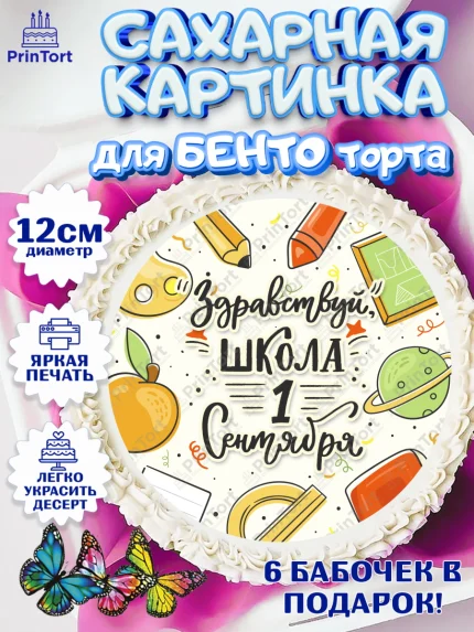 Сахарные круги 12см PT05, 1 сентября, День знаний Школа, Девушка, День знаний 1 сентября, арт. PT0501118