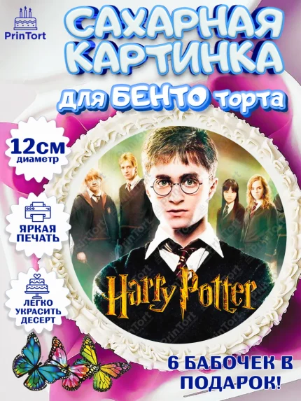 Сахарные круги 12см PT05, Гарри Поттер, Harry Potter, Девочка, День рождения, арт. PT0501340