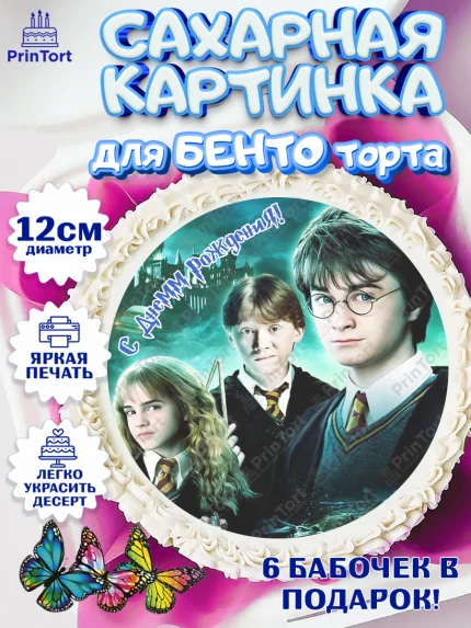 Сахарные круги 12см PT05, Гарри Поттер, Harry Potter, Девочка, День рождения, арт. PT0501358