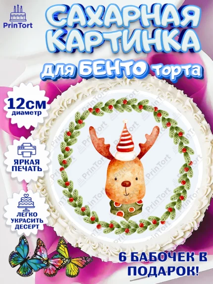Сахарные круги 12см PT05, Новый год, Девочка, арт. PT0501844