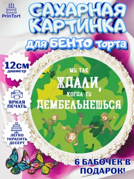 Сахарные круги 12см PT05, Дембель, ДМБ, Мальчик, Демобилизация, арт. PT0502487