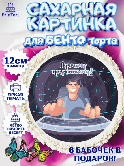 Сахарные круги 12см PT05, Программист, Компьютер, Мальчик, День рождения, арт. PT0503238