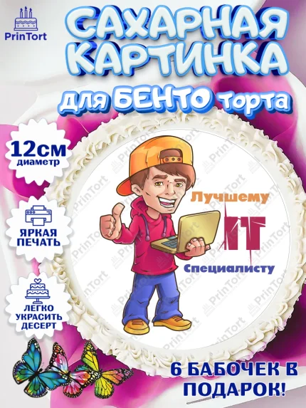 Сахарные круги 12см PT05, Программист, Компьютер, Мальчик, День рождения, арт. PT0503252
