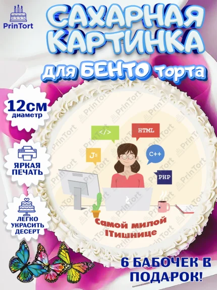 Сахарные круги 12см PT05, Программист, Компьютер, Мальчик, День рождения, арт. PT0503253