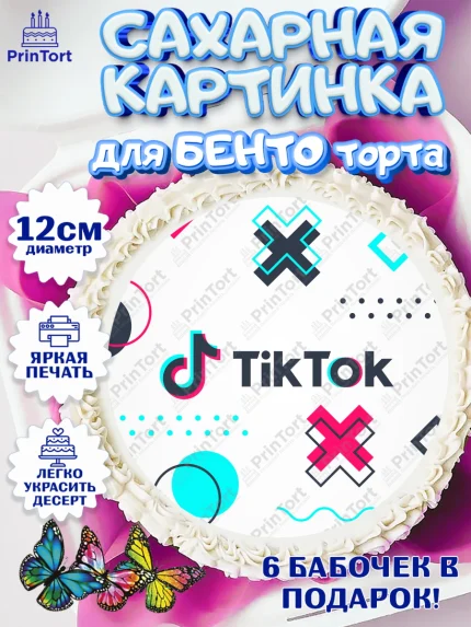 Сахарные круги 12см PT05, ТикТок, TikTok, Девочка, День рождения, арт. PT0503315