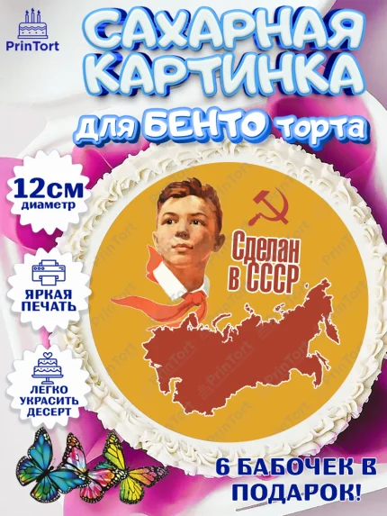 Сахарные круги 12см PT05, Сделан в СССР, Девочка, День рождения, арт. PT0503542