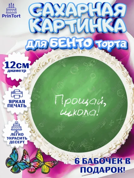 Сахарные круги 12см PT05, Выпускной в школе, Школа, Выпускной, Последний звонок, Девочка, арт. PT0503606