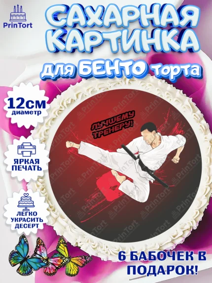 Сахарные круги 12см PT05, Карате, Спорт, Мальчик, День рождения, арт. PT0504106