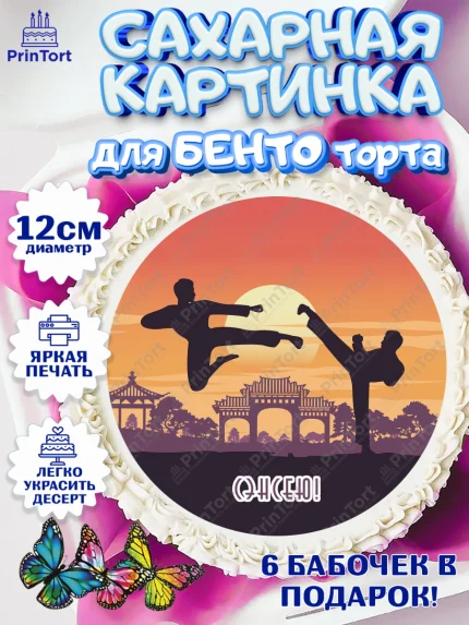 Сахарные круги 12см PT05, Карате, Спорт, Мальчик, День рождения, арт. PT0504115