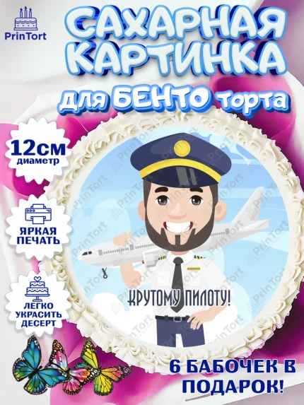 Сахарные круги 12см PT05, Авиация, Самолеты, Мальчик, День гражданской авиации, арт. PT0504395