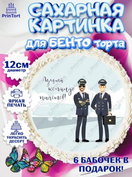 Сахарные круги 12см PT05, Авиация, Самолеты, Мальчик, День гражданской авиации, арт. PT0504396
