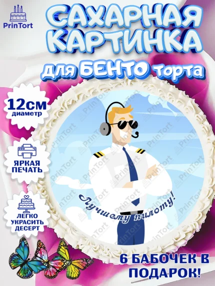 Сахарные круги 12см PT05, Авиация, Самолеты, Мальчик, День гражданской авиации, арт. PT0504397