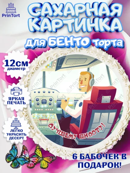 Сахарные круги 12см PT05, Авиация, Самолеты, Мальчик, День гражданской авиации, арт. PT0504398