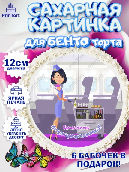 Сахарные круги 12см PT05, Авиация, Самолеты, Мальчик, День гражданской авиации, арт. PT0504399
