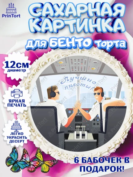 Сахарные круги 12см PT05, Авиация, Самолеты, Мальчик, День гражданской авиации, арт. PT0504402