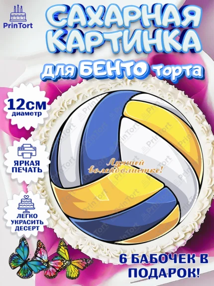 Сахарные круги 12см PT05, Волейбол, Волейболист, Мальчик, День рождения, арт. PT0504748