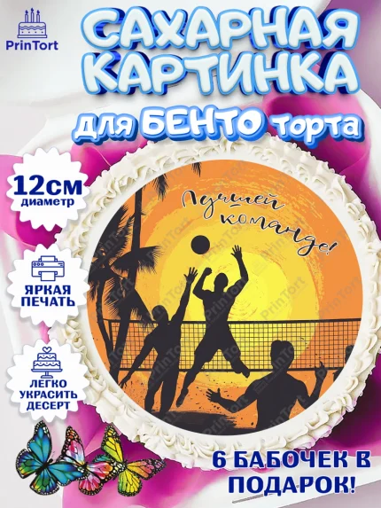 Сахарные круги 12см PT05, Волейбол, Волейболист, Мальчик, День рождения, арт. PT0504752