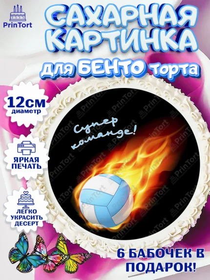 Сахарные круги 12см PT05, Волейбол, Волейболист, Мальчик, День рождения, арт. PT0504753