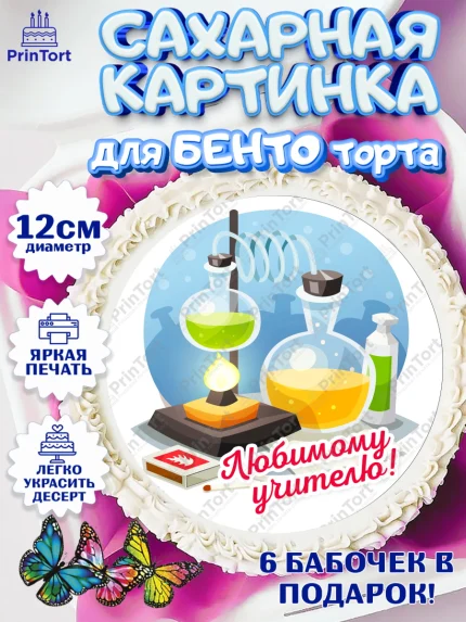 Сахарные круги 12см PT05, день учителя, Девушка, арт. PT0505363