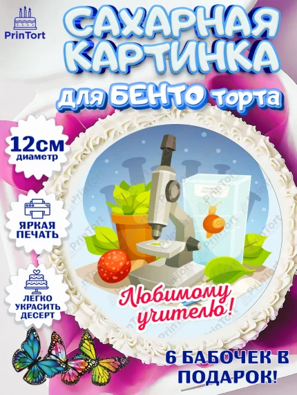 Сахарные круги 12см PT05, день учителя, Девушка, арт. PT0505366
