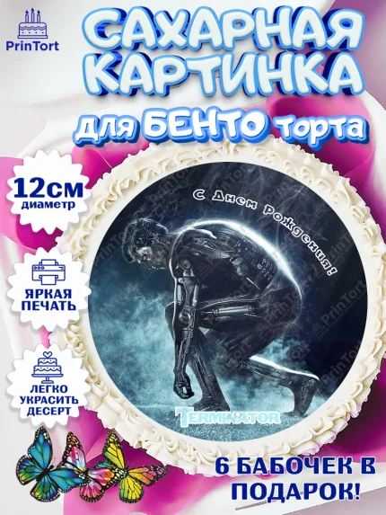 Сахарные круги 12см PT05, Терминатор, Девочка, День рождения, арт. PT0505760