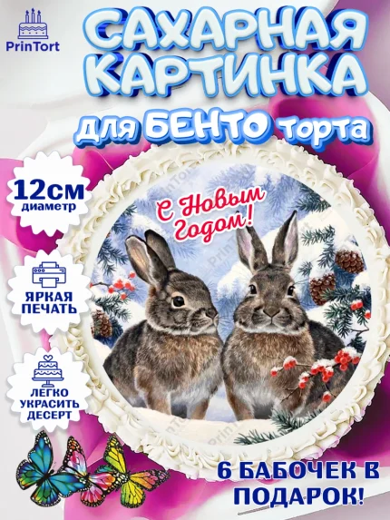 Сахарные круги 12см PT05, Новый год, Девочка, арт. PT0505768