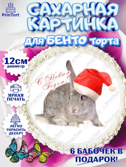 Сахарные круги 12см PT05, Новый год, Девочка, арт. PT0505960