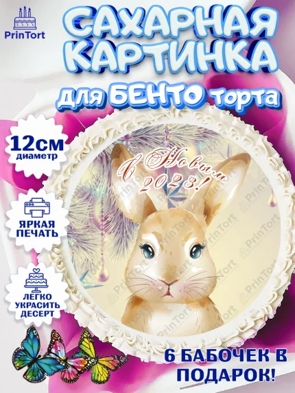 Сахарные круги 12см PT05, Новый год, Девочка, арт. PT0505961