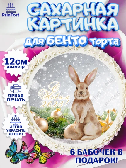 Сахарные круги 12см PT05, Новый год, Девочка, арт. PT0505962
