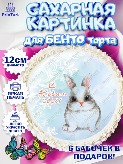 Сахарные круги 12см PT05, Новый год, Девочка, арт. PT0505963