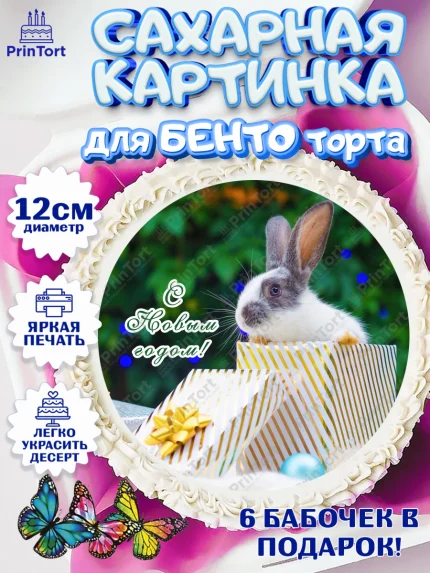 Сахарные круги 12см PT05, Новый год, Девочка, арт. PT0505964