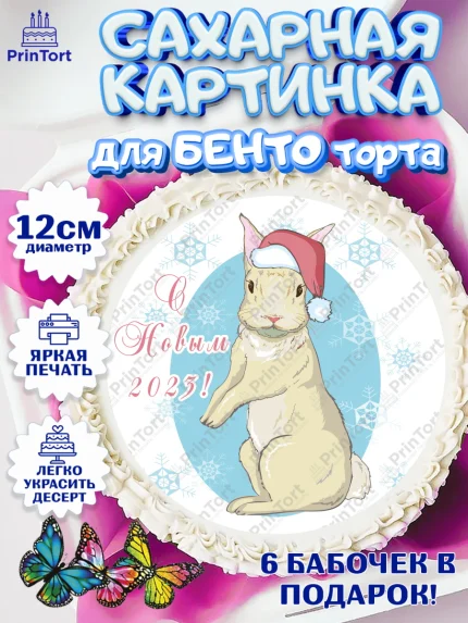 Сахарные круги 12см PT05, Новый год, Девочка, арт. PT0505967