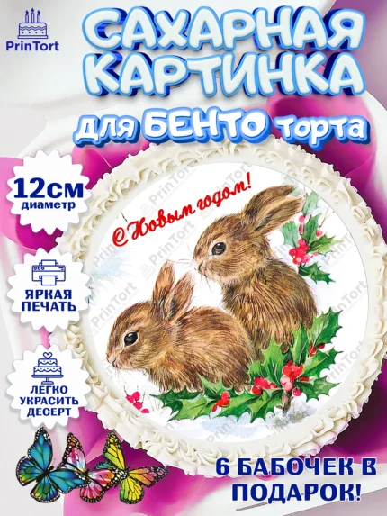 Сахарные круги 12см PT05, Новый год, Девочка, арт. PT0506452