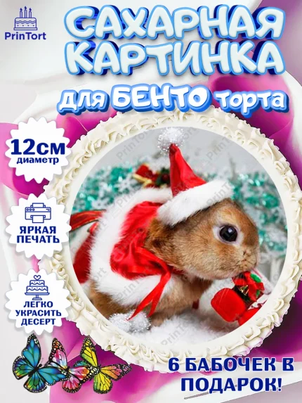 Сахарные круги 12см PT05, Новый год, Девочка, арт. PT0506455