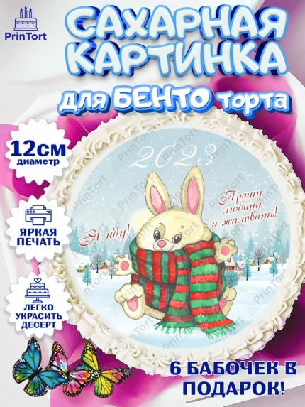 Сахарные круги 12см PT05, Новый год, Девочка, арт. PT0506923