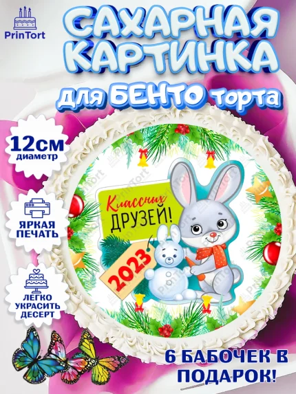 Сахарные круги 12см PT05, Новый год, Девочка, арт. PT0507029