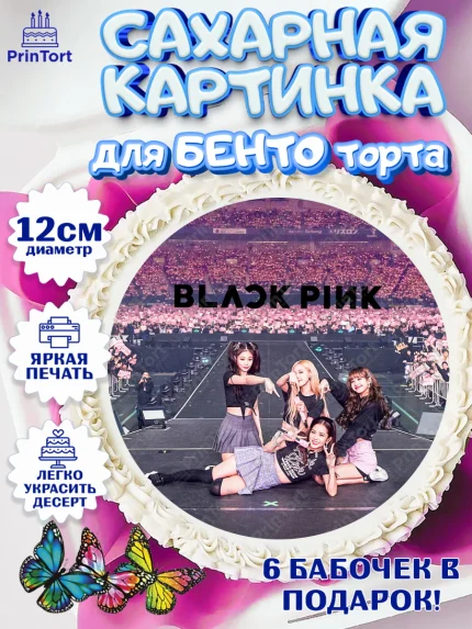 Сахарные круги 12см PT05, Блэкпинк, БЛЭК ПИНК, Девочка, День рождения, арт. PT0507069