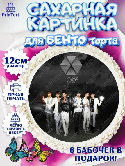 Сахарные круги 12см PT05, EXO, Девочка, День рождения, арт. PT0507077