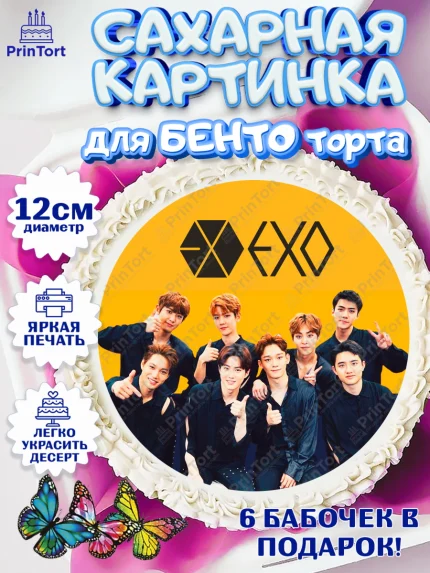 Сахарные круги 12см PT05, EXO, Девочка, День рождения, арт. PT0507082