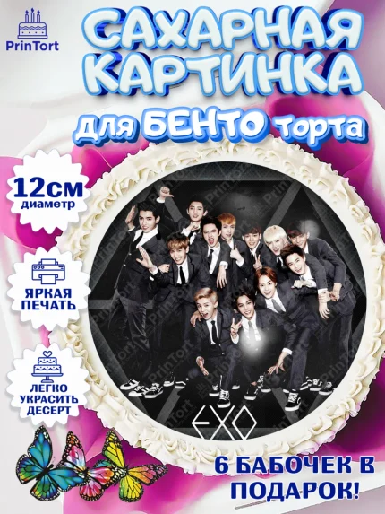 Сахарные круги 12см PT05, EXO, Девочка, День рождения, арт. PT0507086
