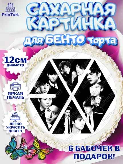 Сахарные круги 12см PT05, EXO, Девочка, День рождения, арт. PT0507089