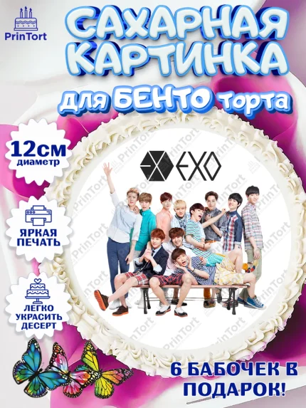 Сахарные круги 12см PT05, EXO, Девочка, День рождения, арт. PT0507090