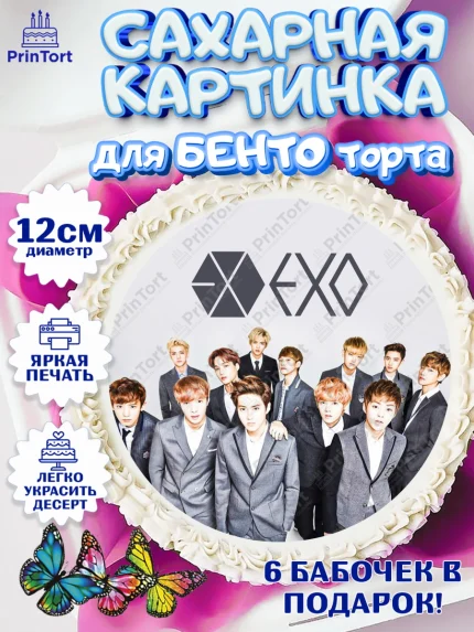 Сахарные круги 12см PT05, EXO, Девочка, День рождения, арт. PT0507091