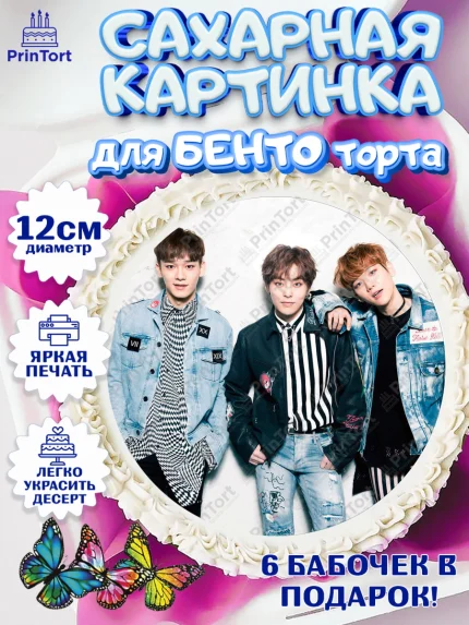 Сахарные круги 12см PT05, EXO, Девочка, День рождения, арт. PT0507092