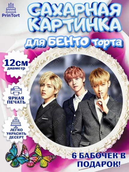 Сахарные круги 12см PT05, EXO, Девочка, День рождения, арт. PT0507093