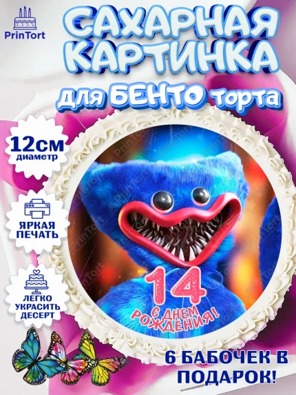 Сахарные круги 12см PT05, Хаги Ваги, Девочка, 14 лет, День рождения, арт. PT0507435