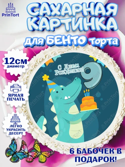 Сахарные круги 12см PT05, Девочке 9 лет, Девочка, 9 лет, День рождения, арт. PT0507787