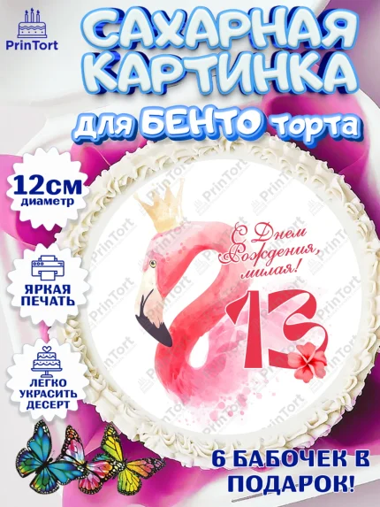 Сахарные круги 12см PT05, Девочке 13 лет, Девочка, 13 лет, День рождения, арт. PT0507844